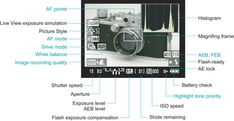 Illustration for article titled Canon EOS 50D Official: 15-Megapixel Prosumer DSLR Is First With Digic 4 Processor